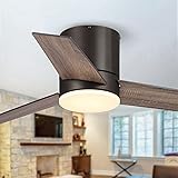 Vaczon 48 Inch Black Low Profile Ceiling Fan with