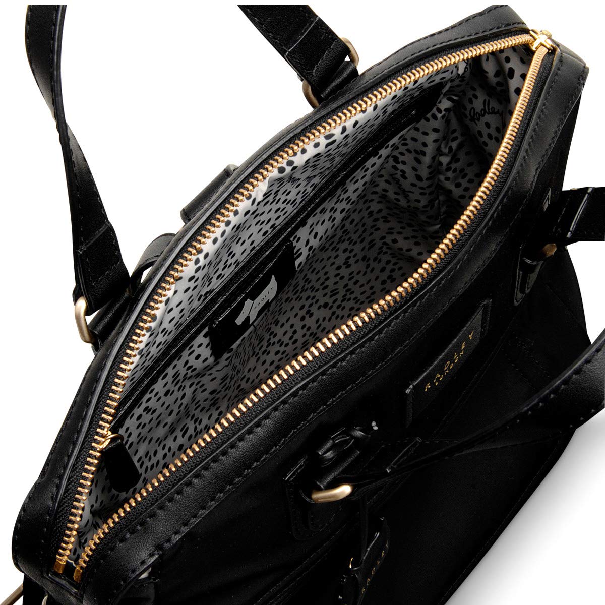 radley spring park backpack
