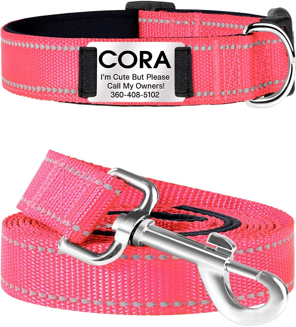 plastic dog collars with name plates