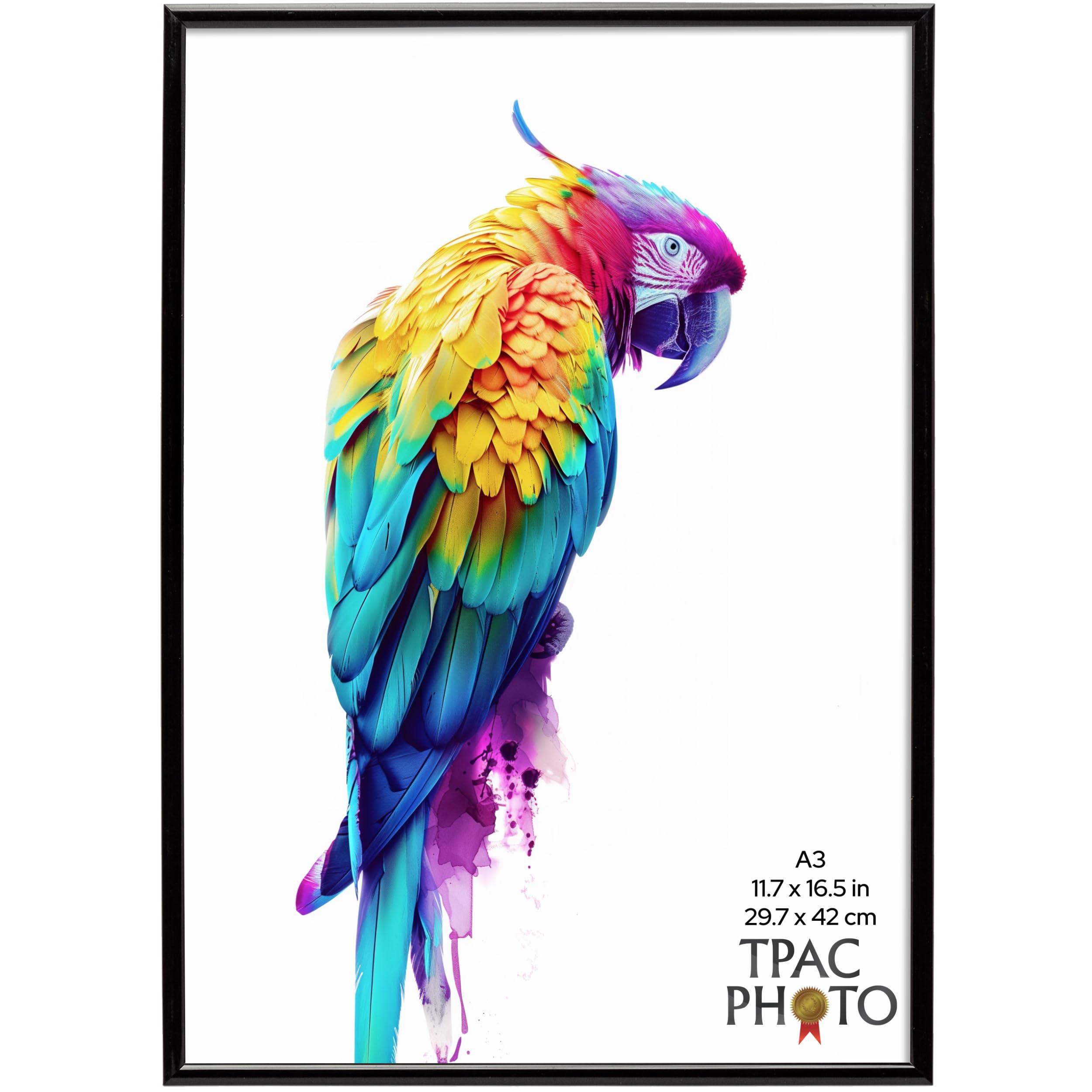 The Photo Album Co A3 Poster Frame Backloader | Black, 29.7 x 42 cm, Plastic, Foil Wrapped | Acrylic Front, Drop-In Back, Wall Mount | Picture Frame for Home Décor