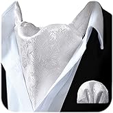 HISDERN Ascot Ties for Men Paisley Floral Ascot and Pocket Square Set Classic Self Tie Mens Cravat Handkerchief for Wedding