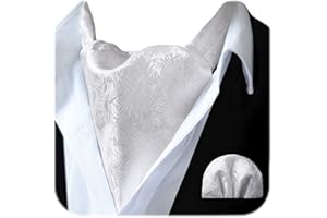 HISDERN Ascot Ties for Men Paisley Floral Ascot and Pocket Square Set Classic Self Tie Mens Cravat Handkerchief for Wedding