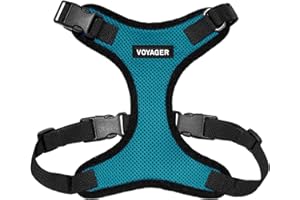 Voyager Step-in Lock Pet Harness - All Weather Mesh, Adjustable Step in Harness for Cats and Dogs by Best Pet Supplies - Turquoise/Black Trim, L