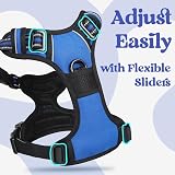 rabbitgoo Dog Harness Large No-Pull Front Back Clips Reflective Blue L view 6