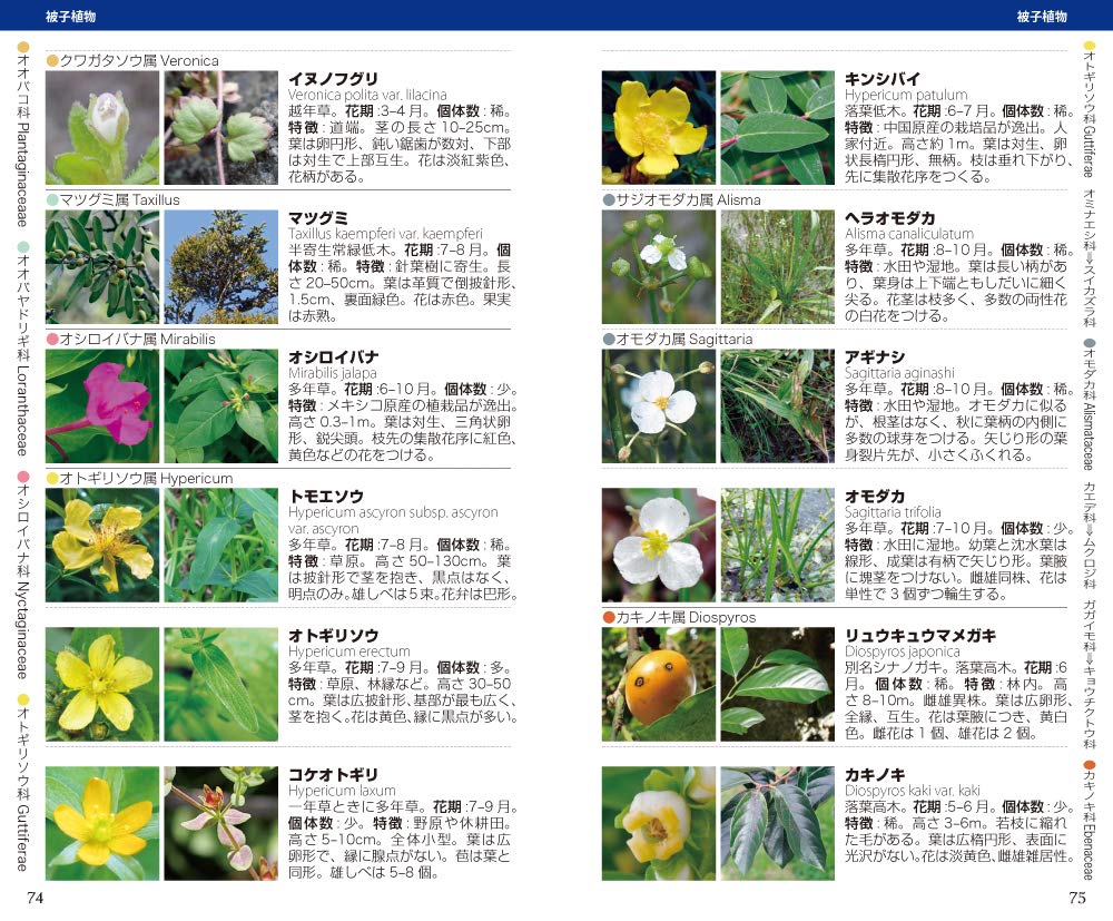 高尾山全植物 草 木 シダ1500種 Amazon Com Books