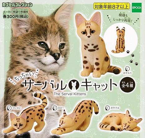 Amazon ちっちゃい サーバルキャット 全4種セット フルコンプ カプセル玩具 おもちゃ