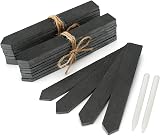 KINGLAKE 20Pcs Slate Plant Labels with Talcum Pen 15x2cm Reusable Garden Markers