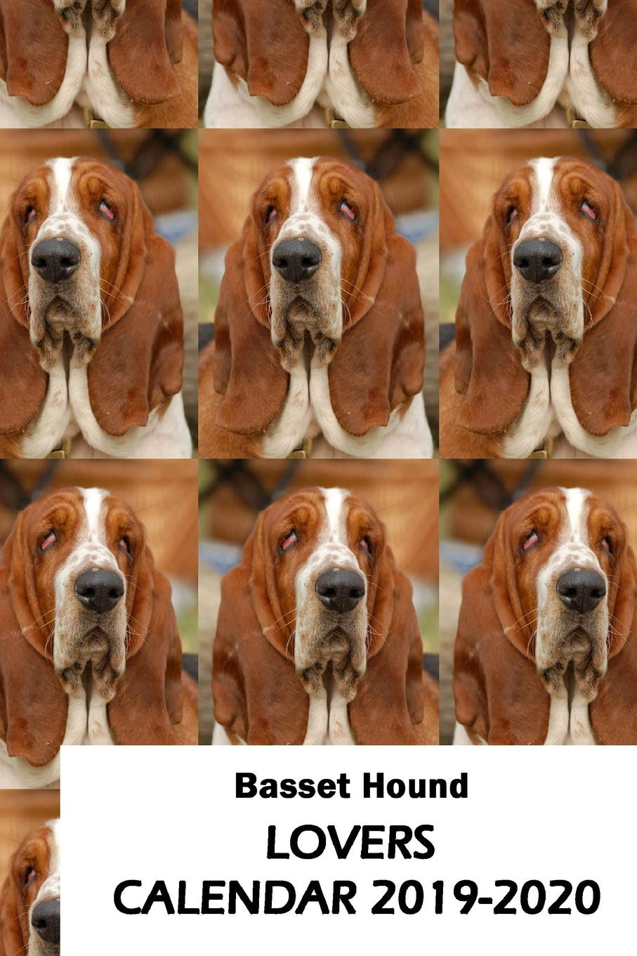 basset hound lovers