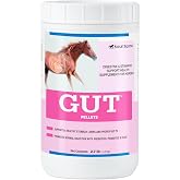 SmartEquine Gut&trade; Pellets, 2.7 lb, 60 Servings | Healthy Gut Probiotics for Horses | Equine Prebiotic &amp; Probiotic | Horse Stomach Supplement