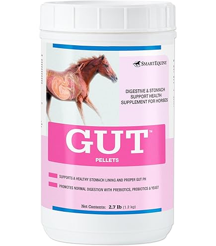 Protexin Equine Premium Gut Balancer - 400g - Complément Alimentaire Cheval - Neuf