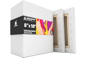LWR CRAFTS Stretched Canvas 8" X 10" Pack of 6