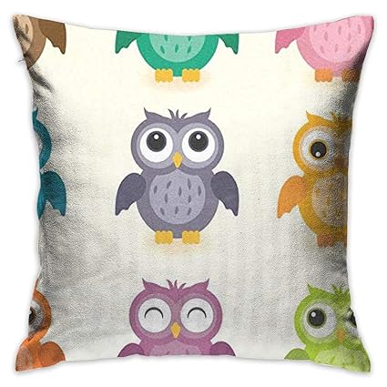 Amazon Com Throw Pillow Cover Colorful Owl Decorative Pillow Case