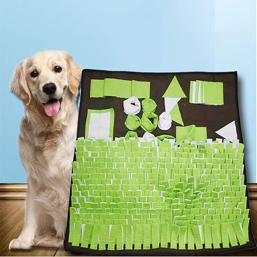 canine nosework supplies