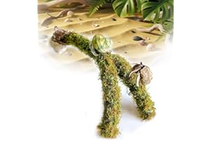 Duspro Hermit Crab Climbing Toys – Y Shaped Flexible Moss Pole Wrapped in Soft Yarn and Forest Moss, Hermit Crab Accessories and Easy-to-Use Hermit Crabs Supplies – Perfect for Climbing (12 inches)