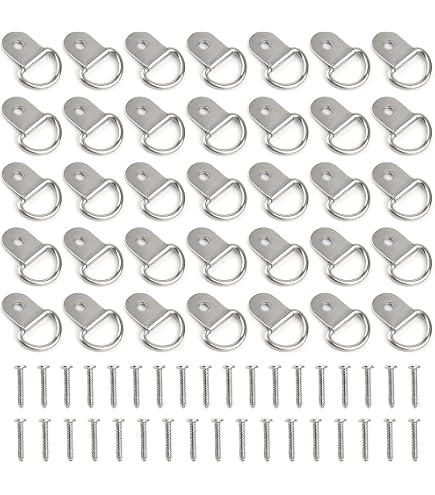 20 Pcs Double Hole D-Ring Picture Hangers With Screws - Heavy Duty 33lb Wall Anchors
