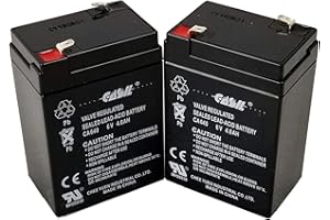 Casil 6V Battery Rechargeable - 6 Volt Battery Compatible with Power Wheels, Ride On Toys, Emergency Lights, Moultrie Feeder, 6V4.5Ah/20HR, 6V4AH Duracell Compatible, Lucky Duck Use