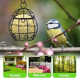 OFFCUP Fat Ball Bird Feeder 4pc Metal Hanging Holder Spherical with 4 Hooks view 7
