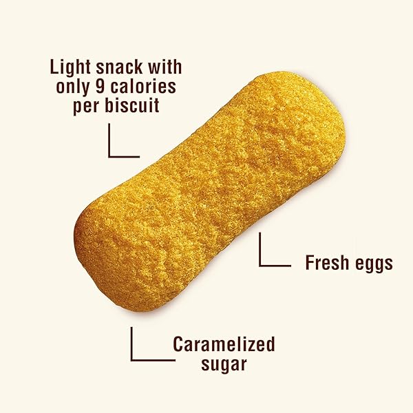 PAVESINI PLAIN 7.05OZ (200G) – AUTHENTIC ITALIAN LIGHT & CRISPY BISCUITS – PERFECT FOR SNACKING, DESSERTS, AND TIRAMISU – MADE WITH NATURAL INGREDIENTS AND NO PALM OIL