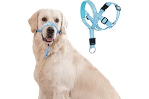 DOMIGLOW No-Pull Dog Headcollar - Reflective Halter Collar for Dogs, Padded Head Collar to Stop Heavy Pulling, Anti-Pull Muzzle Leash (Blue, Large)