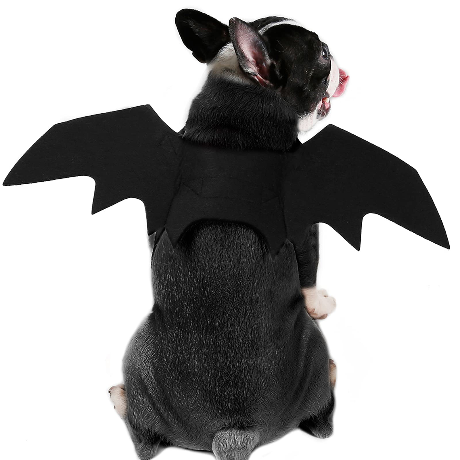 RANYPET Dog Bat Wings - Dog Halloween Costume for Medium to Large Dogs Halloween bat Costumes Dogs Costumes Cat Costume for Party Cosplay S