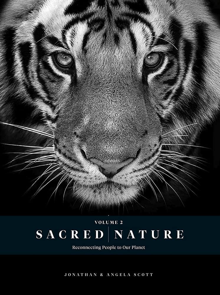 Amazon Com Sacred Nature 2 Reconnecting People To Our Planet 9780639831848 Scott Jonathan Scott Angela Books