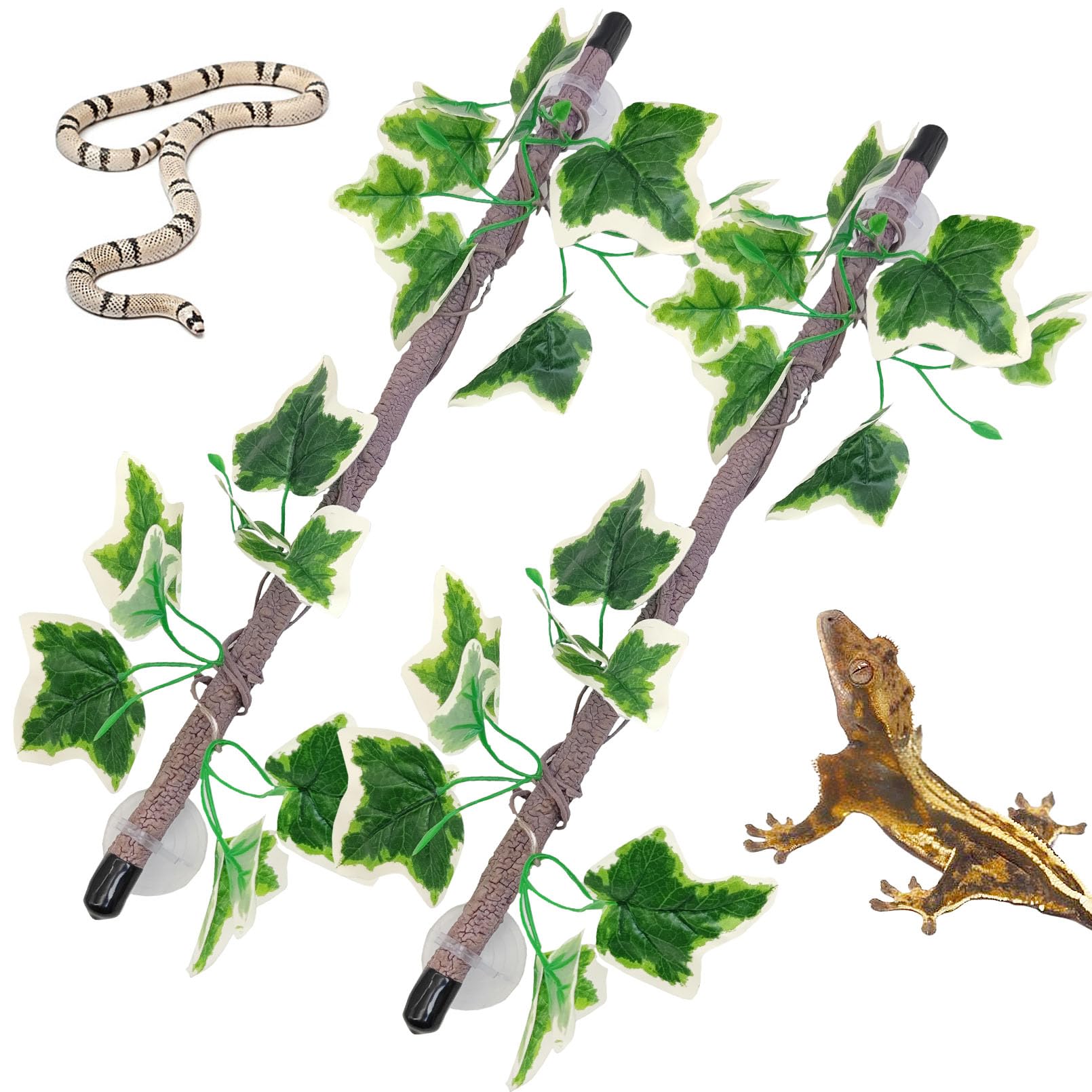 Photo 1 of VCEPJH Reptile Climbing Branch Decor 2 Pcs Bendable Jungle Vine with Suction Cup Terrarium Plant Decoration for Gecko Bearded Dragons, Snake,Frogs, Chameleons Cage Accessories (V)
