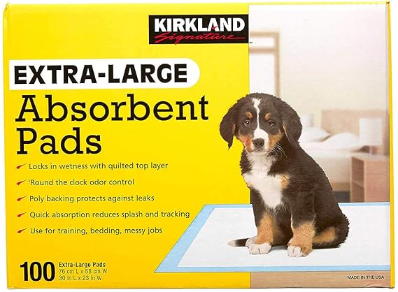 siberian husky cute puppies