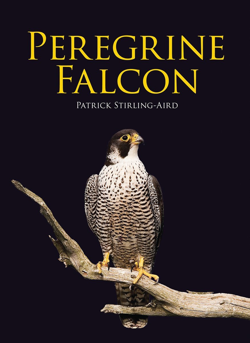 Peregrine Falcon Patrick Stirling Aird 9781554079278