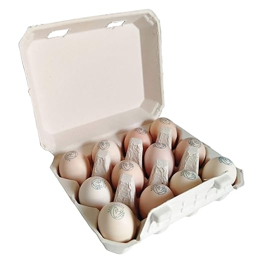 Kadaknath Agro World  Paper Pulp Economy Packing Organic Eggs - Pack of 12
