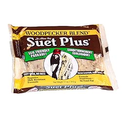 Suet Plus Bird Suet Cake 12 Pack of 11 oz Suet