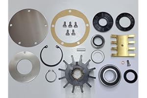 STAYCOOLPUMPS SCP-7420 Sea Water Pump Rebuild Kit Fits Jabsco 6400-0004, 7420-0101, 7420-1001, Cat 7W8019