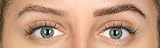 Eylure DYBROW Eyebrow Dye Kit Dark Brown - Permanent Color Up to 6 Weeks view 5