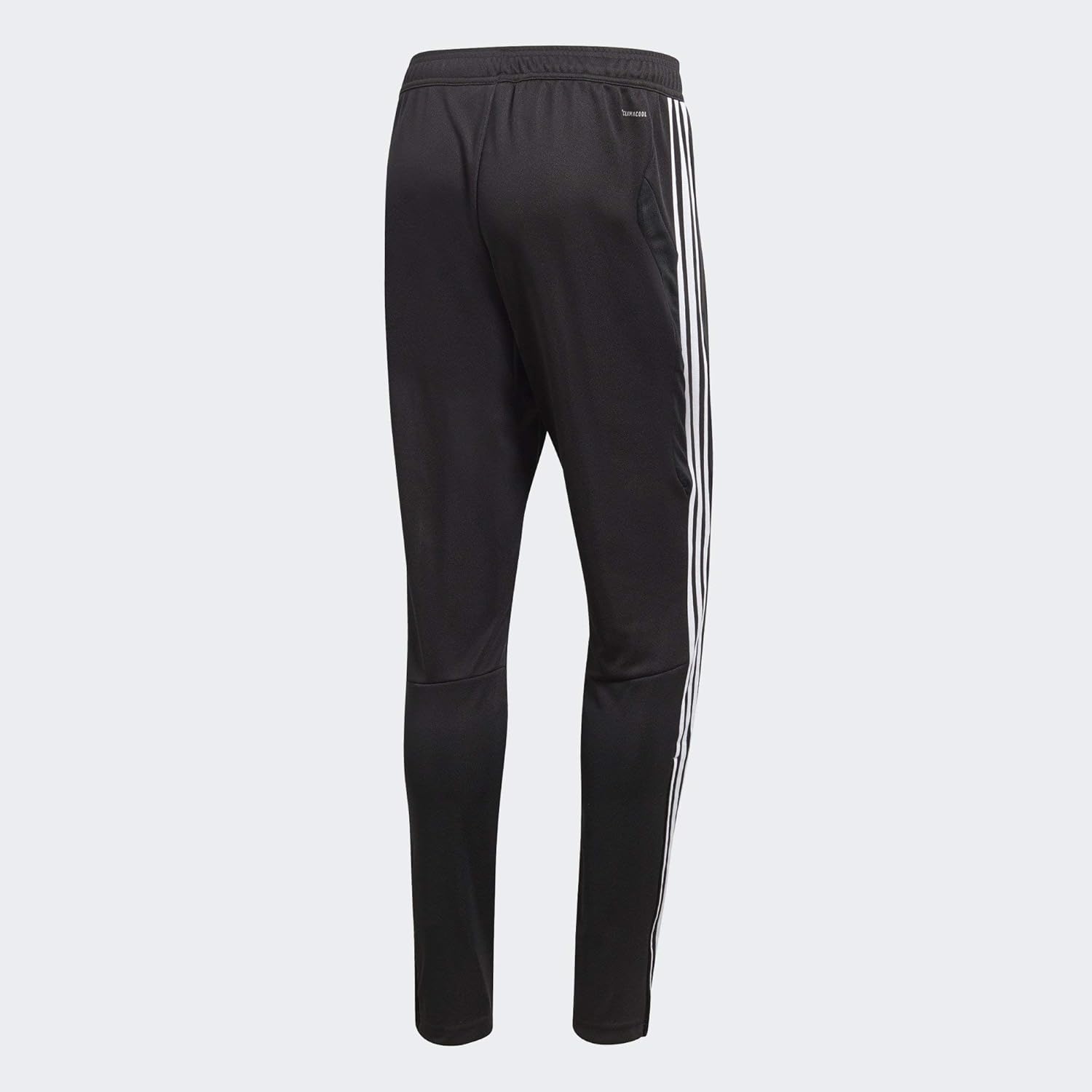 adidas Men's Tiro 19 Training Pants: Clothing