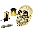 Cane Handle Only Brass Tip - Screw-on Decorative Topper for Walking Stick, Replacement Handle for Canes and Sticks - Skull Head Design - Dragon Style Grip - Brass Knob - Hardware Connections