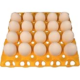 6 RITE FARM PRODUCTS 20 EGG PLASTIC TRAYS FOR DUCK GOOSE TURKEY PEAFOWL CARTON