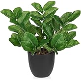 Briful Faux Plants Indoor, Artificial ZZ Plants in Black Pot Fake House Silk Plants for Home Office Dining Table Shelf Decor Bathroom Aesthetic (Green, 1Pack)