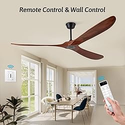 Chriari 60'' Ceiling Fan With Remote and Wall