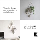 Umbra Trigg Small Set of 2 Concrete Wall Planters - Modern Decor view 8