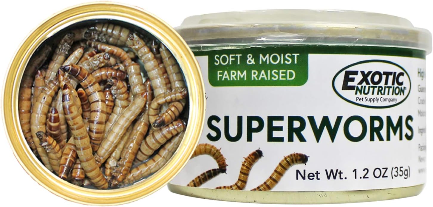 Canned Super Mealworms (1.2 oz.) Healthy High Protein