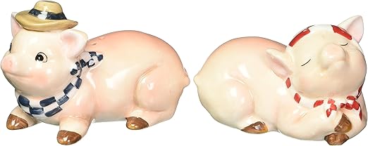Amazon Com Appletree Design Barn Yard Pig Salt And Pepper Set 2