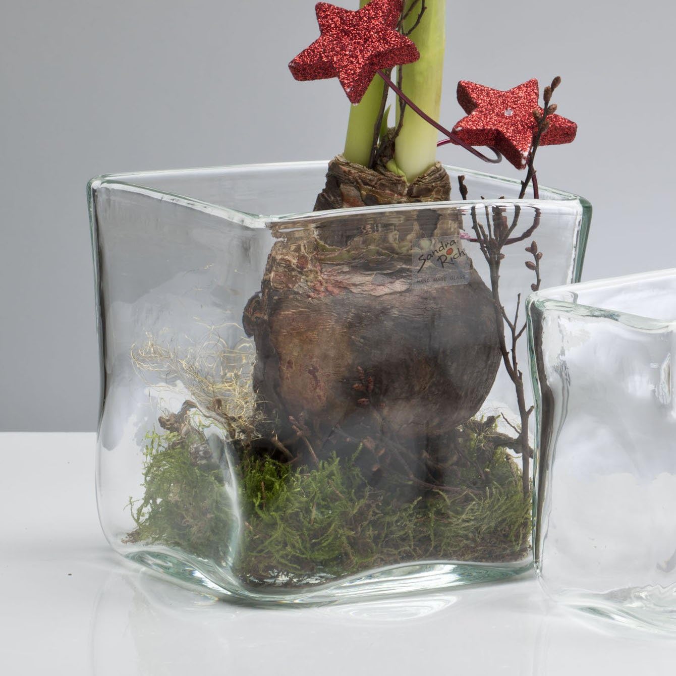 SOLID Glass Table Flower Vase, Clear Cube Glass Rectangular, 15 CM