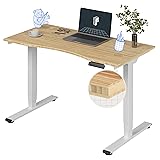 FLEXISPOT E6 Essential Bamboo 3 Stages Dual Motor