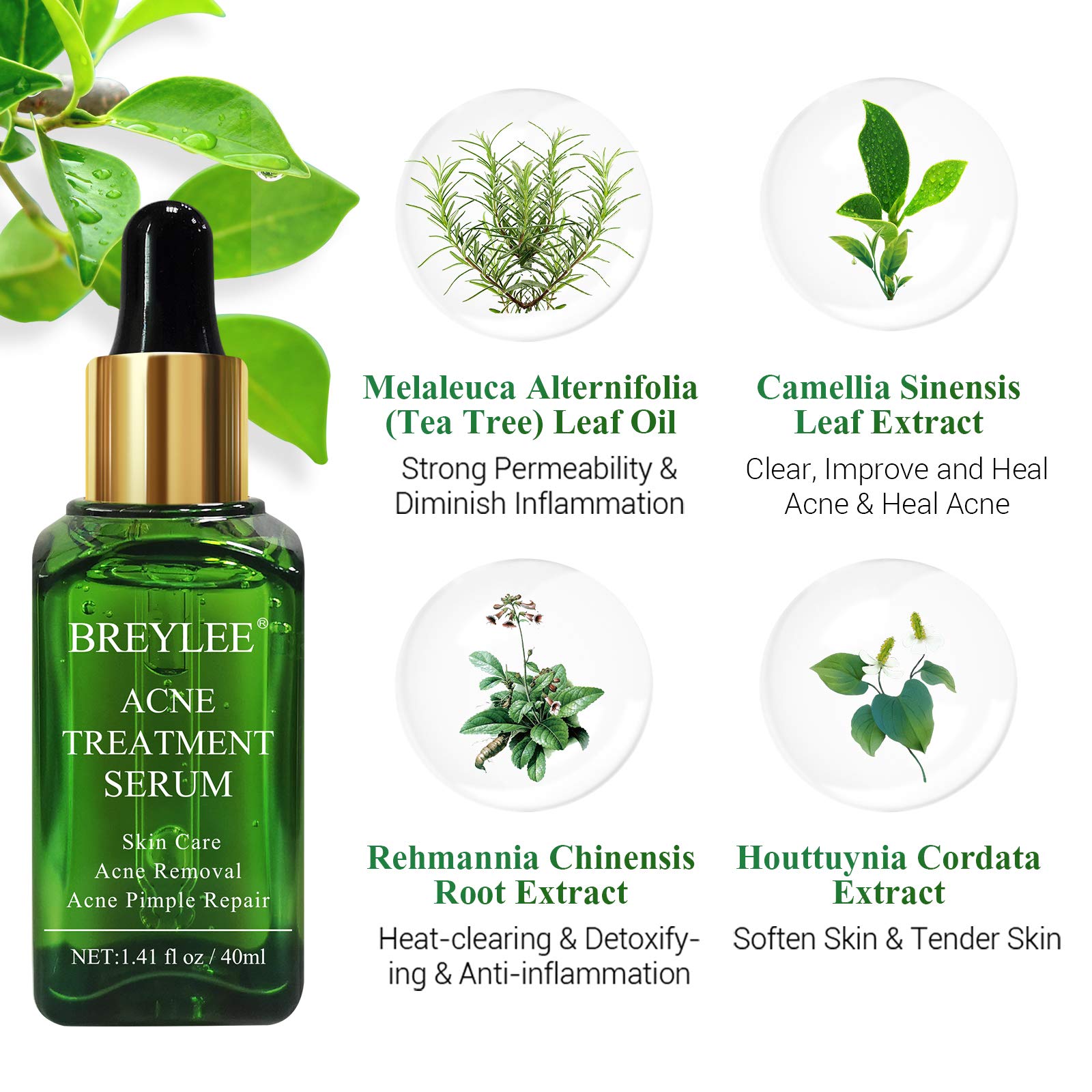 breylee tea tree