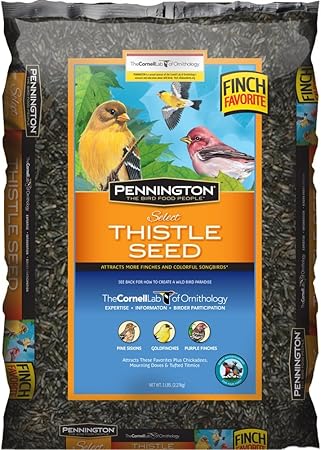 Amazon Com Pennington Seed Thistle Bird Feeder 10 Pound Wild