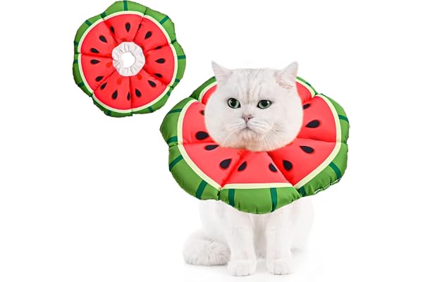 Avont Adjustable Cat Cone Collar Soft, Cute Recovery E Collar for Kittens Puppies, Cone of Shame to Prevent Licking Biting Af