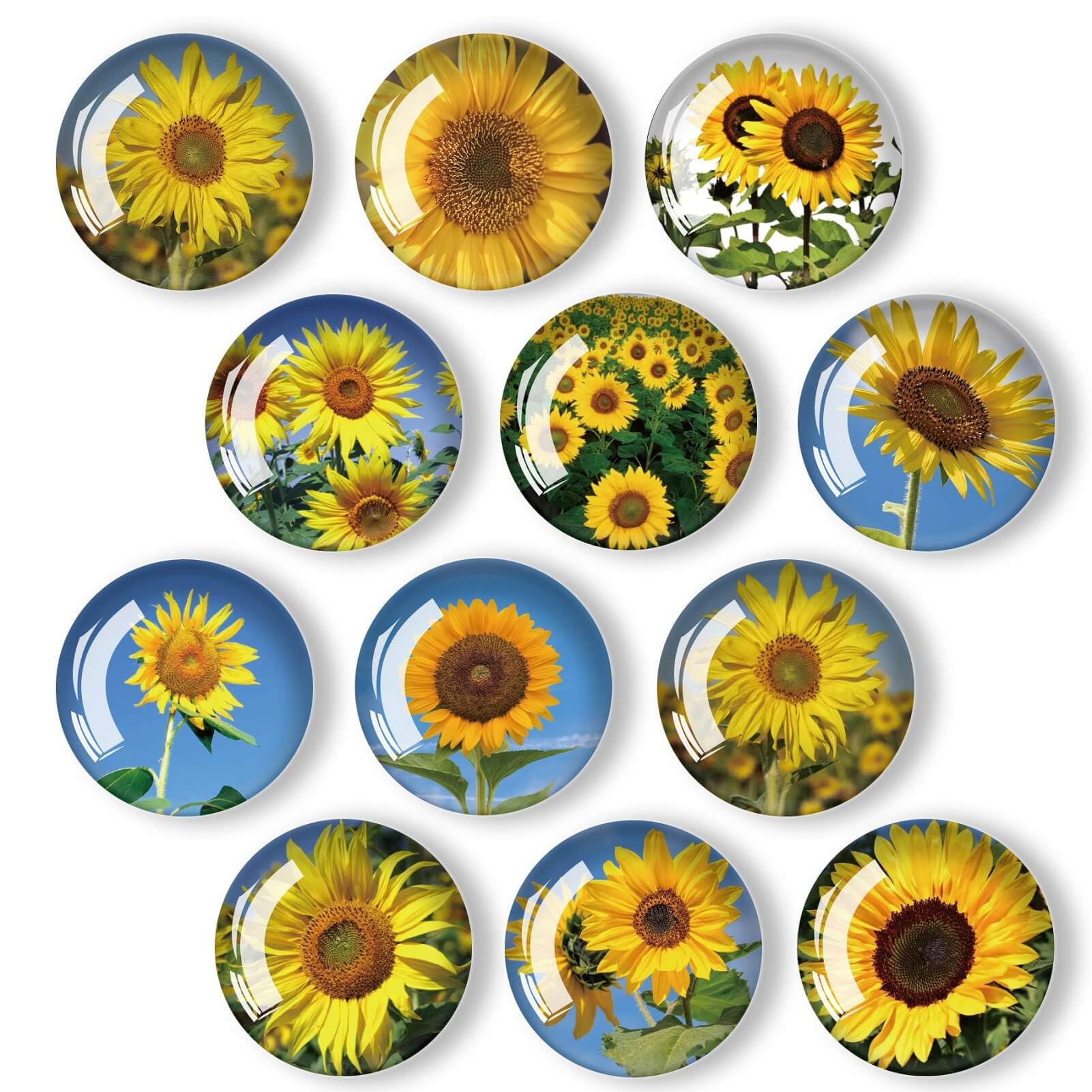 Photo 1 of 12Pcs Glass Refrigerator Magnets - Fridge Magnets Decoration for Classroom, Locker, Office Whiteboards, Cabinet, Dishwasher and Magnetic Surfaces (Sunflower)