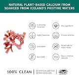 Together Seaweed Calcium 60 Vegecaps Vegan UK 72 Trace Minerals view 3