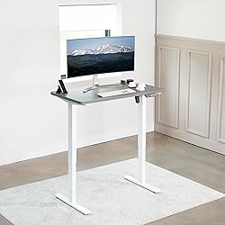 VIVO Electric 43 x 24 in Standing Desk, Memory