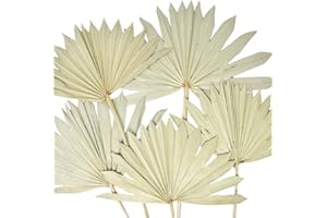 Homeford Dried Natural Sun Palm Leaves Bundle, Natural, 5-Piece