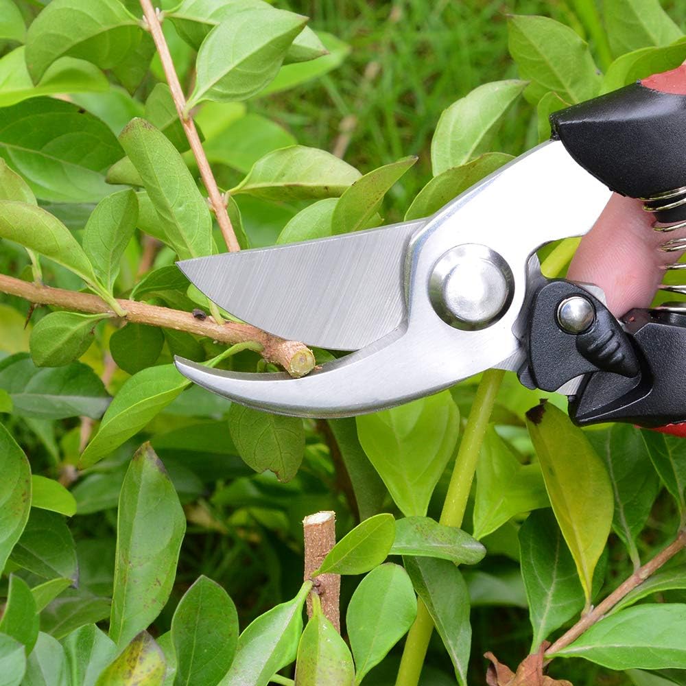 J&D Garden Pruning Set - Image 5